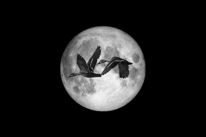 Moonlit Promises